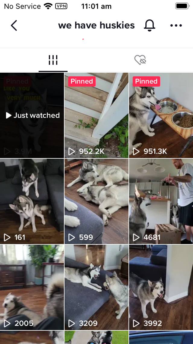 TikTok's pet account turns into a century-old problem